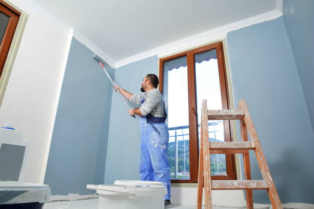 Best Mold Removal for HVAC Installations  in Holmes Beach, FL