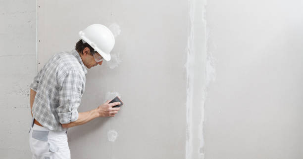 Best Water Damage & Mold Remediation  in Holmes Beach, FL