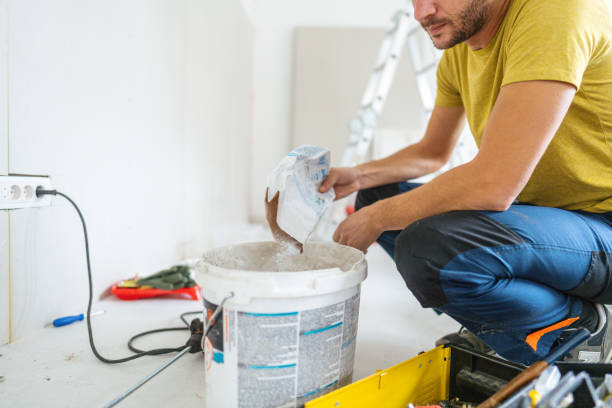 Best Dehumidification Services  in Holmes Beach, FL
