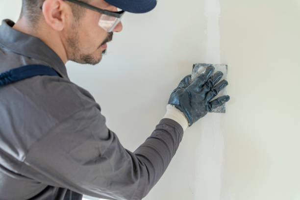 Best Mold Documentation for Insurance Claims  in Holmes Beach, FL