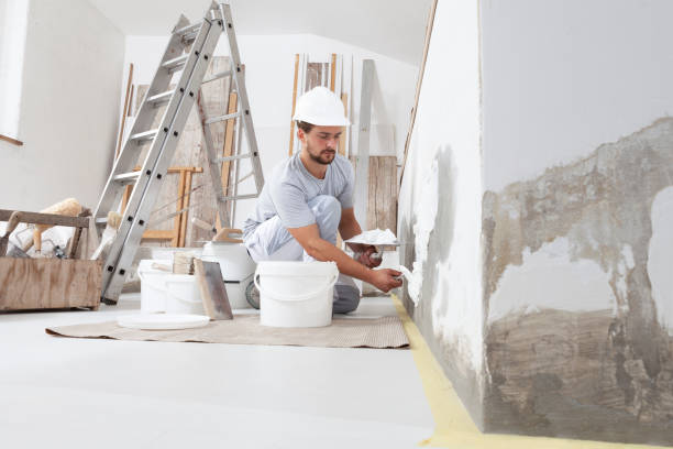 Forensic Mold Investigation in Holmes Beach, FL