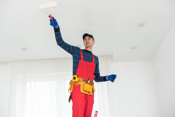  Holmes Beach, FL Mold Removal Pros