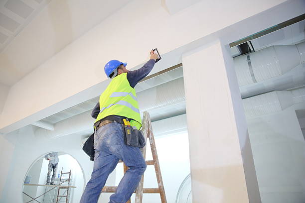 Best Asbestos and Lead Testing During Mold Inspection  in Holmes Beach, FL