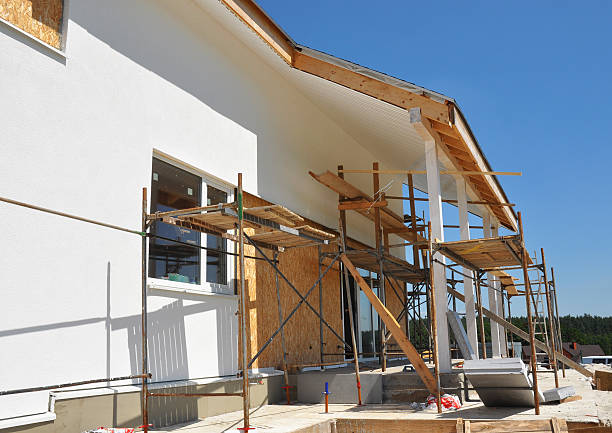 Mold Odor Removal Services in Holmes Beach, FL