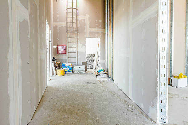 Best Emergency Mold Remediation  in Holmes Beach, FL