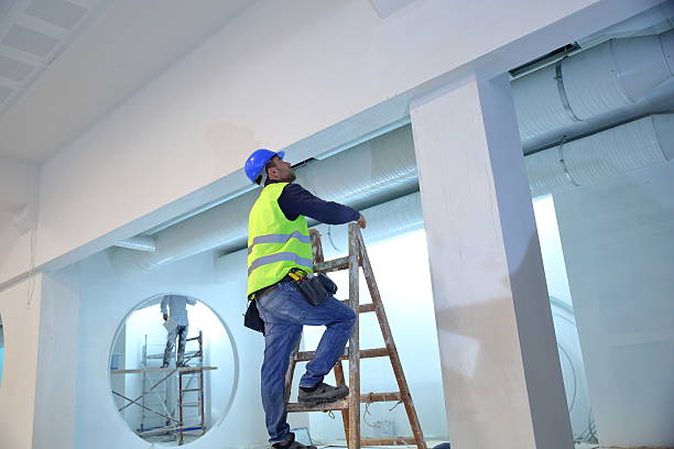 Best Forensic Mold Investigation  in Holmes Beach, FL
