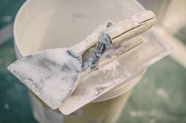 Best HVAC Mold Inspection and Cleaning  in Holmes Beach, FL